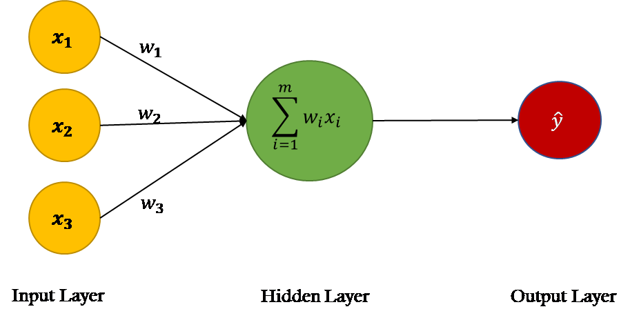 Single Neuron