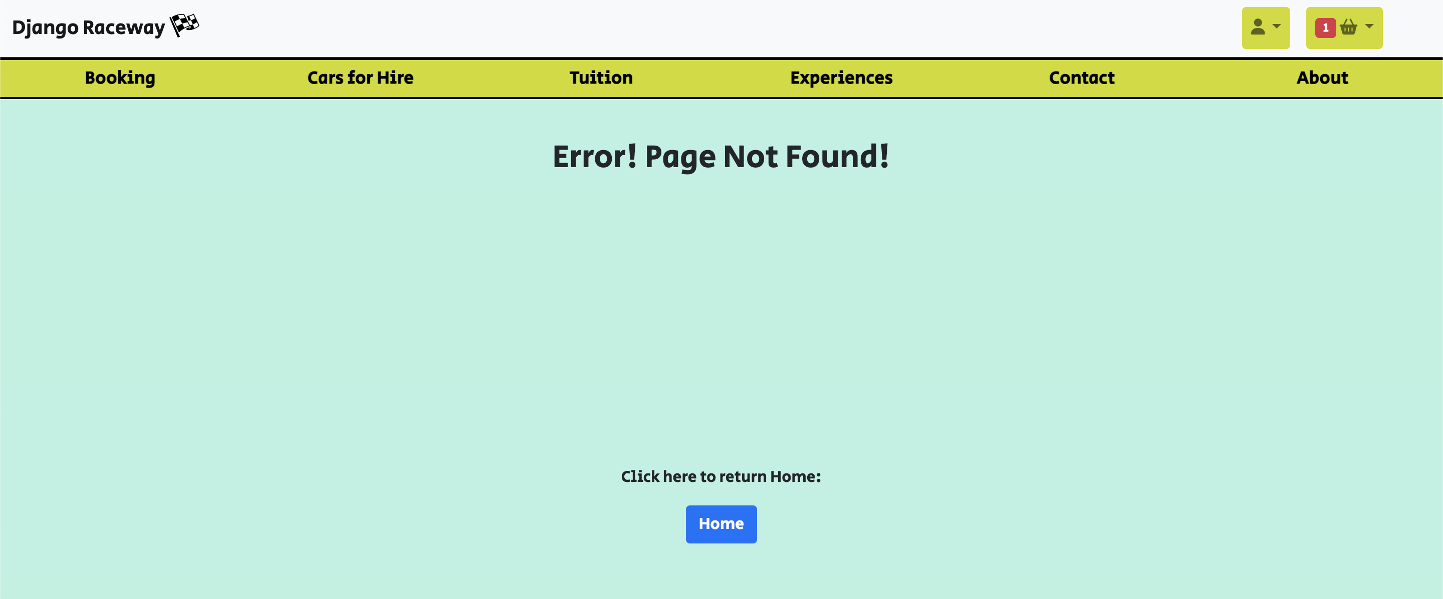 Custom Error 404 Page
