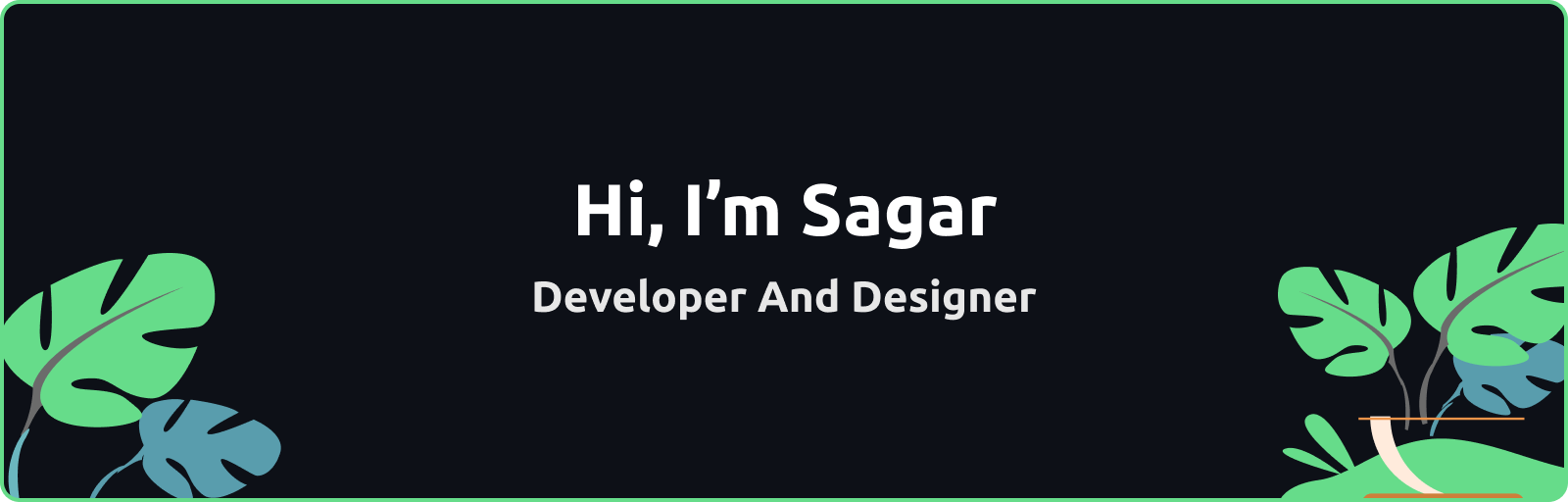 developer and designer