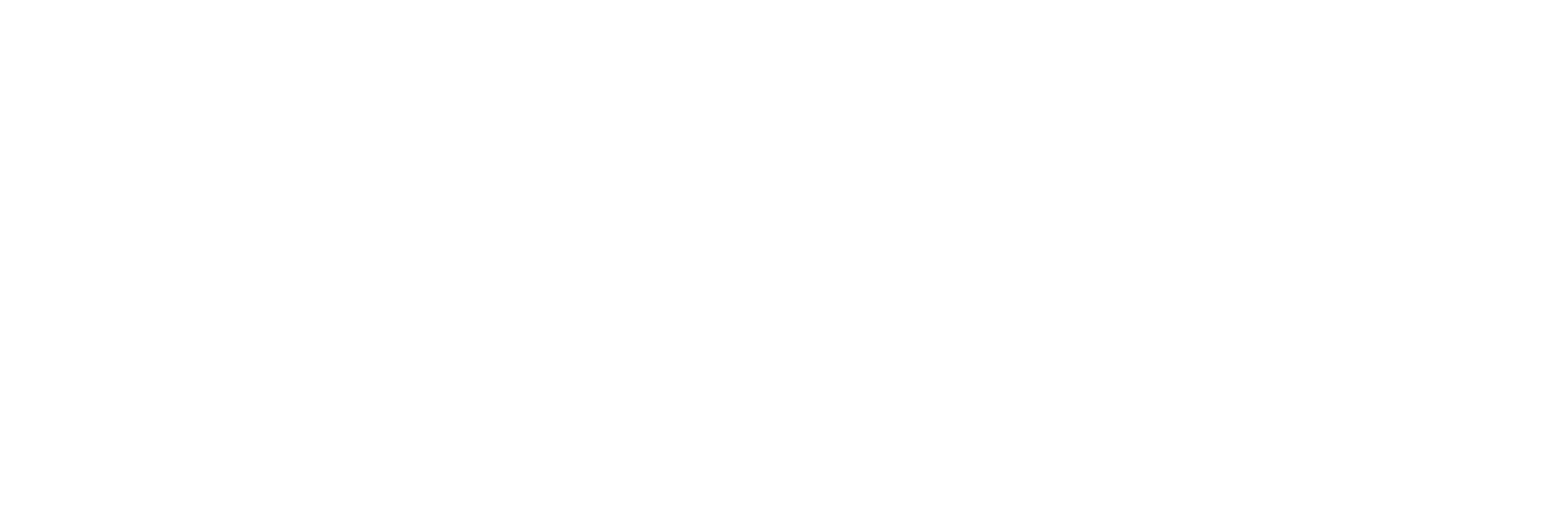 logo-cev-horizontal.png