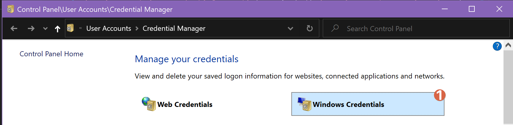 Windows Credential Manager / Windows Credentials