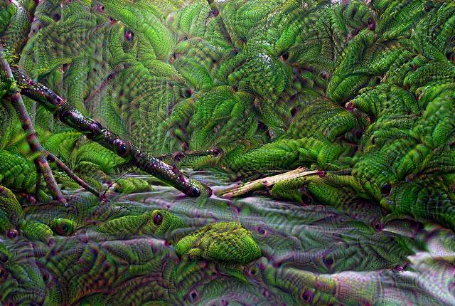 DeepDream Image 5