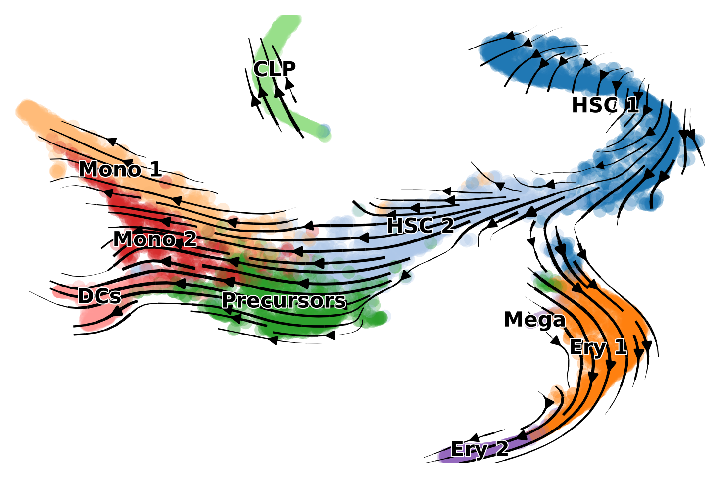 human bone marrow velocity stream