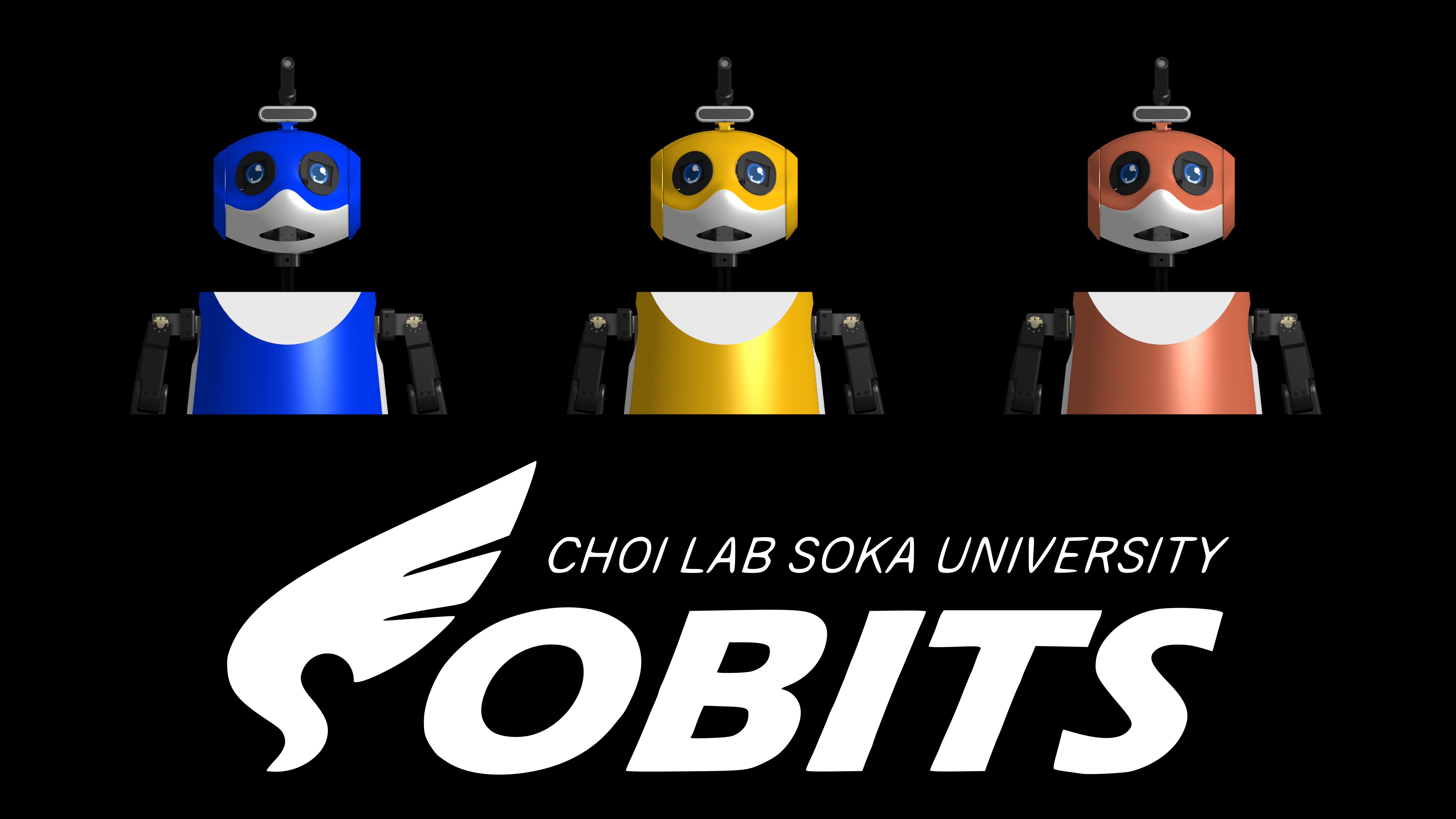 Team SOBITS Profile Pic