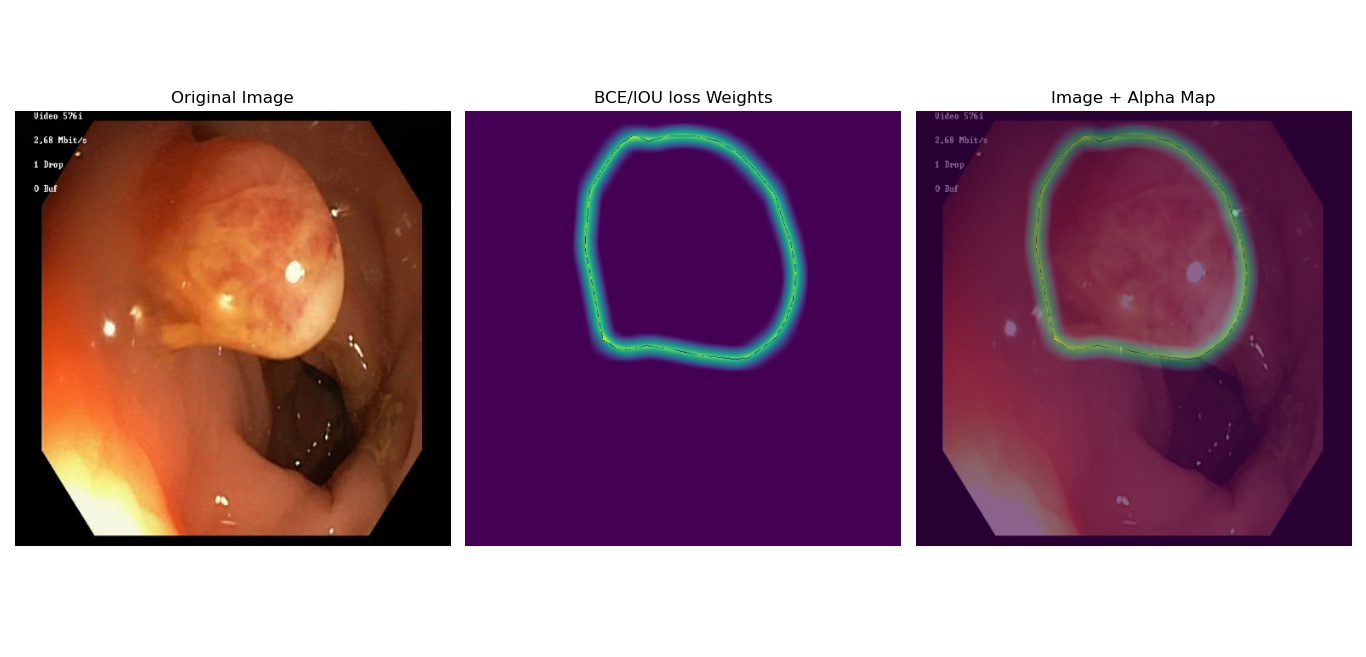 Weighted segmentation Map