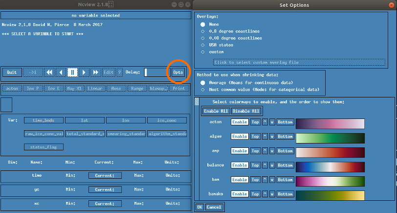 The Opts interface in ncview