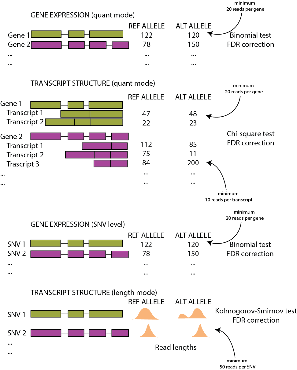 images/pipeline_analysis.png