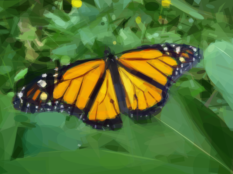 Geometrized Monarch Butterfly 800 Various Shapes