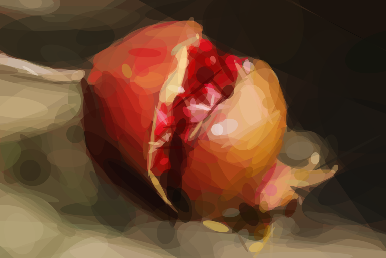 Geometrized Pomegranate 300 Rotated Ellipses