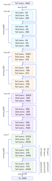 Fig. 5 ResNet50 Architecture. Please note that the “fc” layer at the bottom is domain transferred with a new fully connected linear layer with 65,536 features.