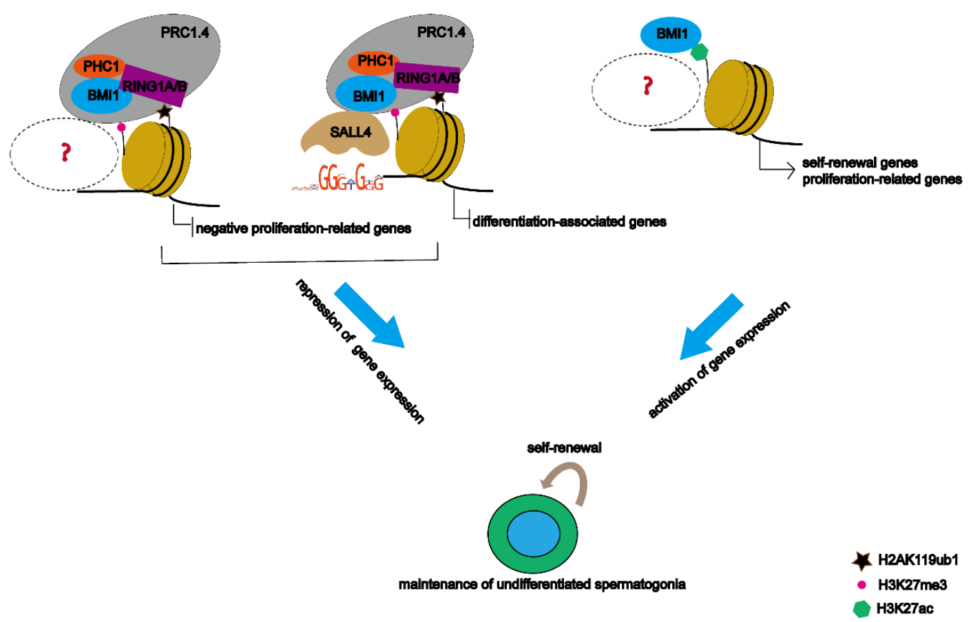 fig1