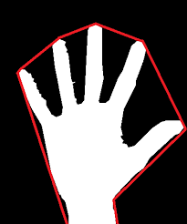 Image of segmented hand region