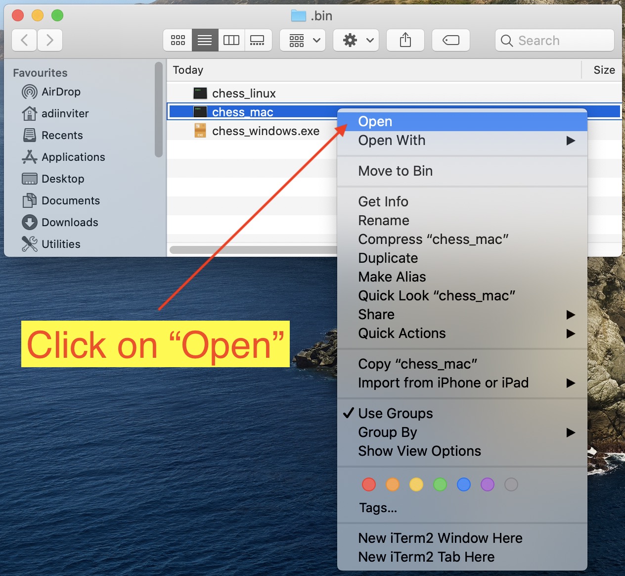 Right click on chess_mac file and click on Open