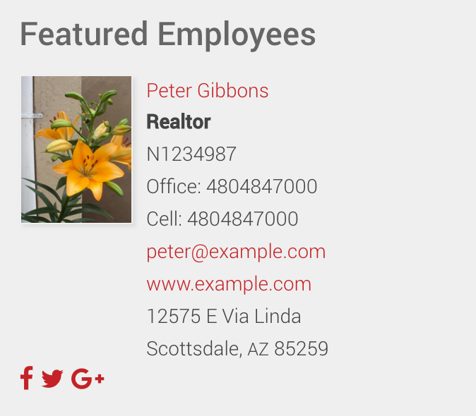 Front End Employee Widget