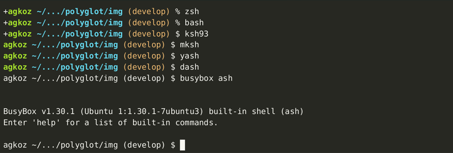 Polyglot working in several shells