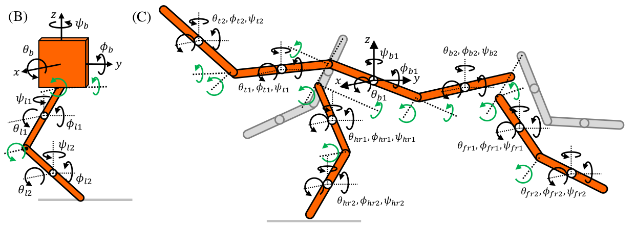 Diagram of monoped and quadruped