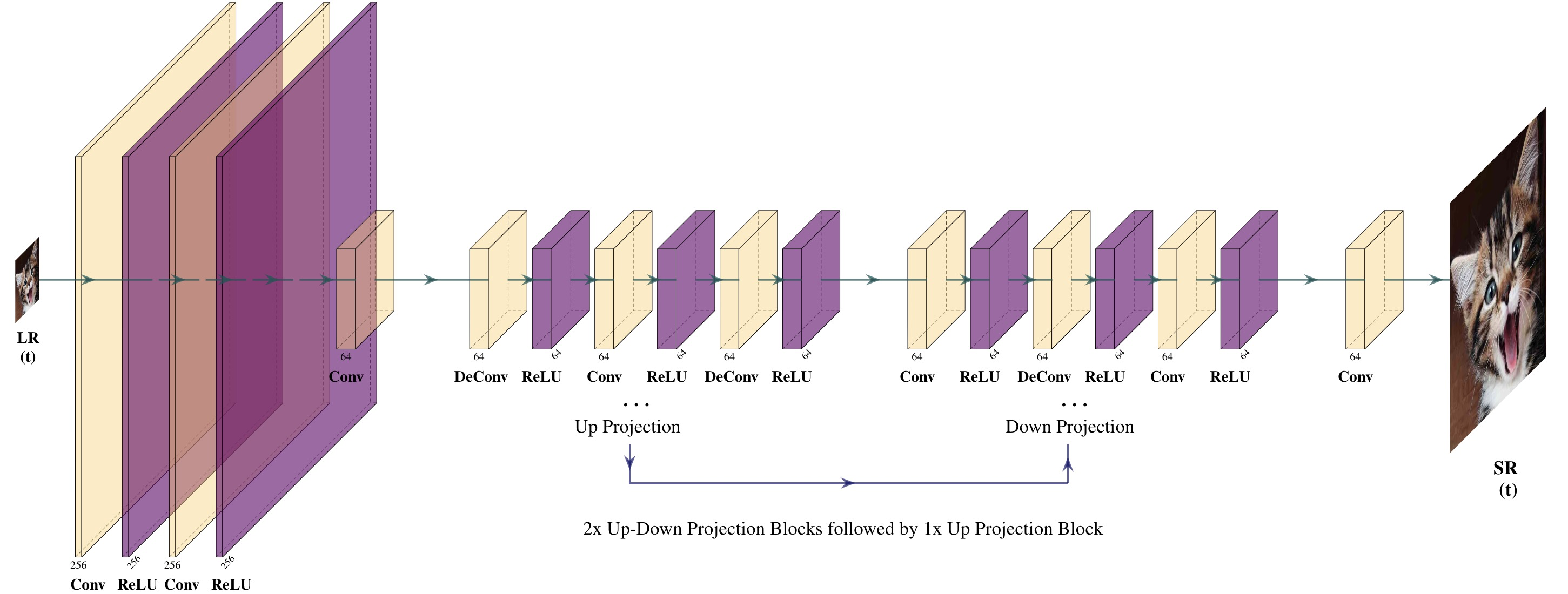 DBPN_SISR