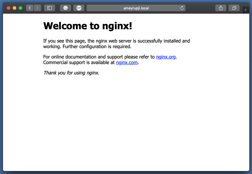 network safari nginx