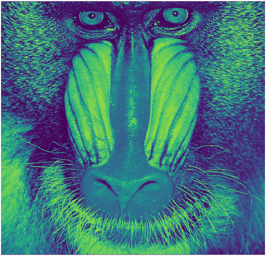 mandrill_viridis