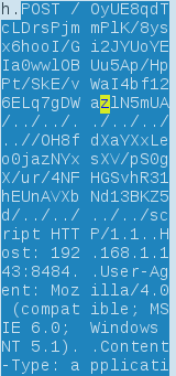 wireshark_fake