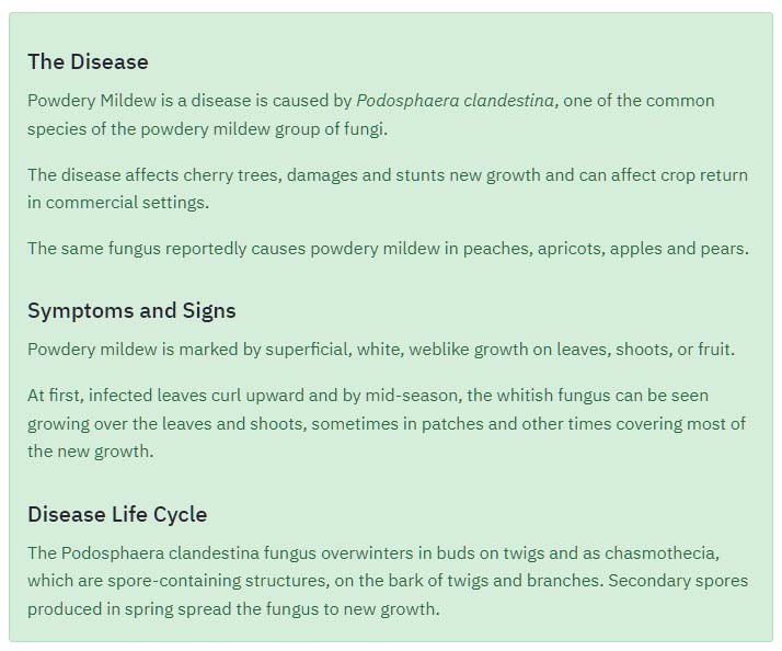 Disease Information