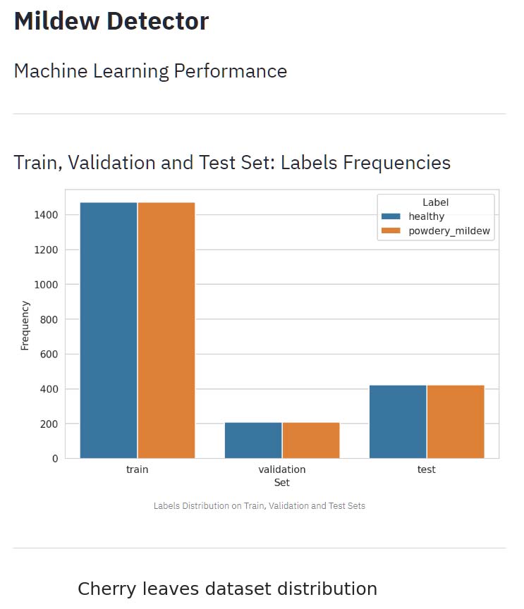 Streamlit ML Performance