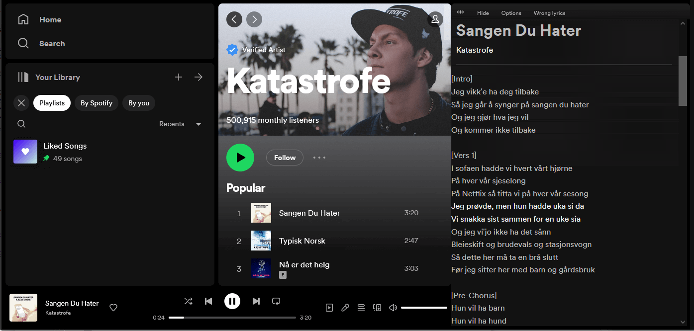 Screenshot of spotify web player with lyrics