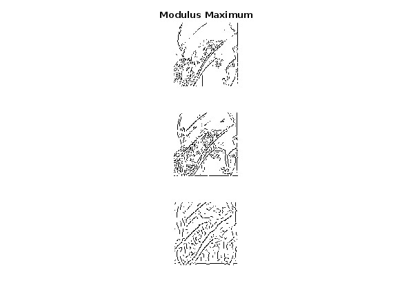 Modulus Maximum