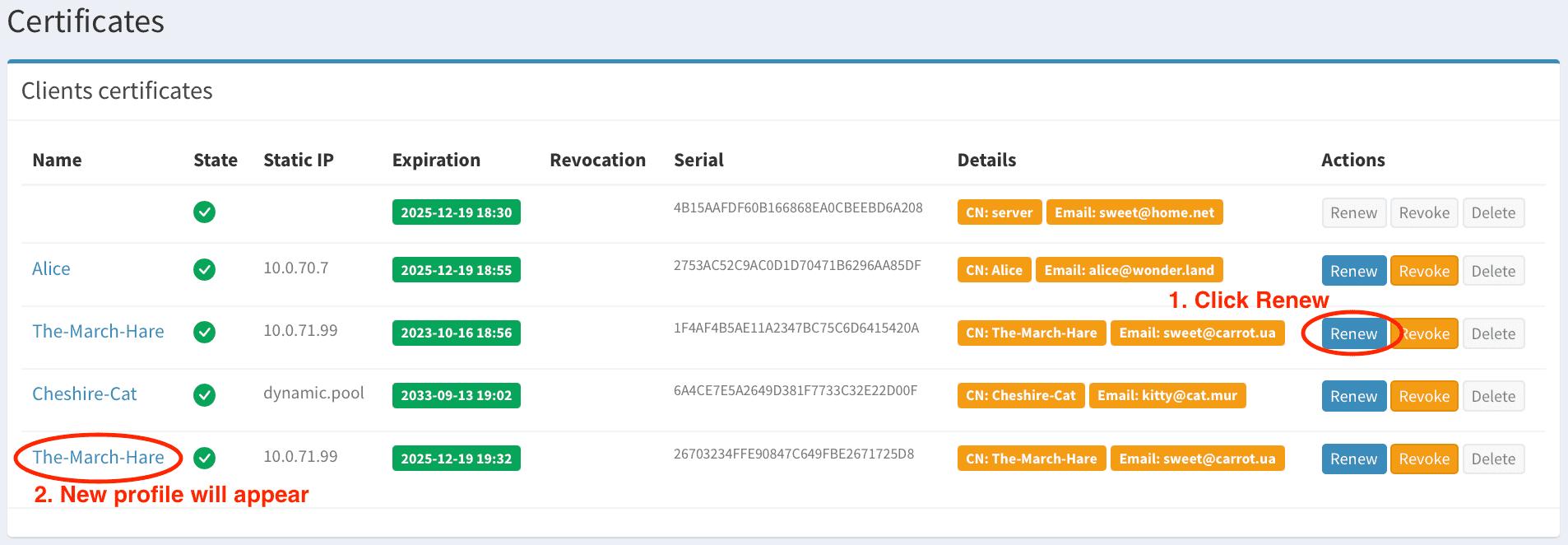 Renew OpenVPN Certificate