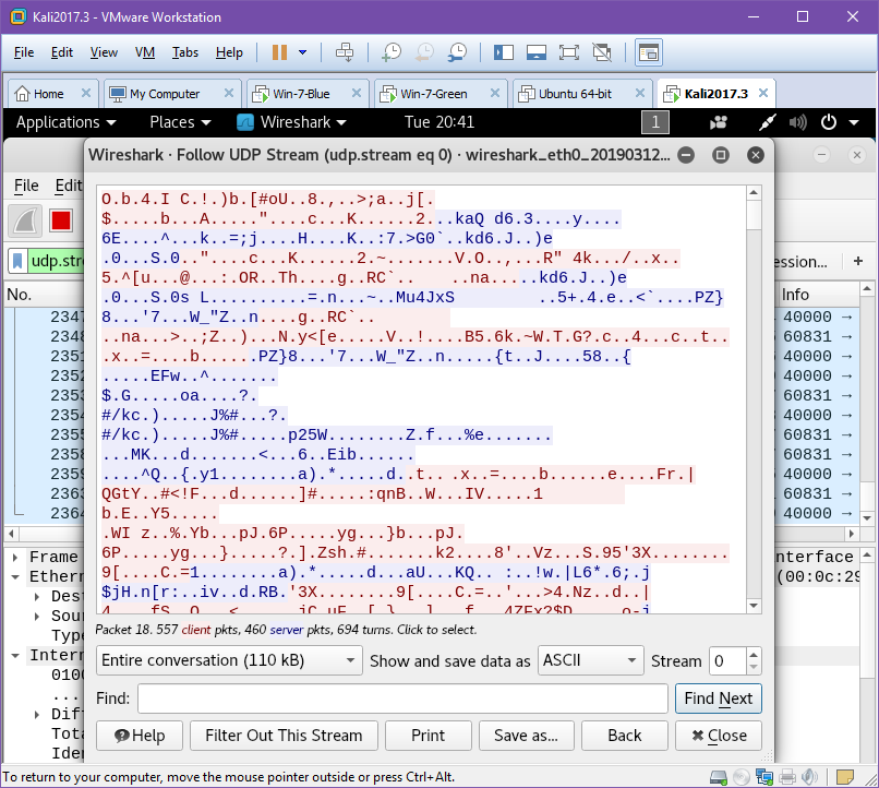 ICMP in Cleartext