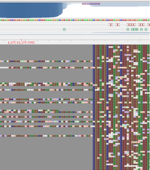 Fig2. Δ76 mutant