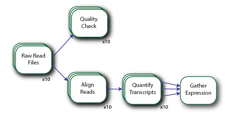 Wildcard Pipeline