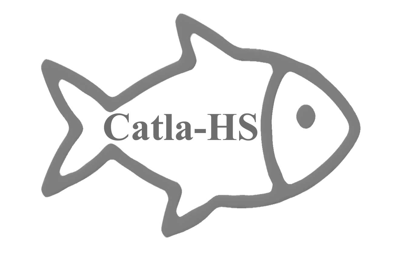 Catla for Hadoop and Spark