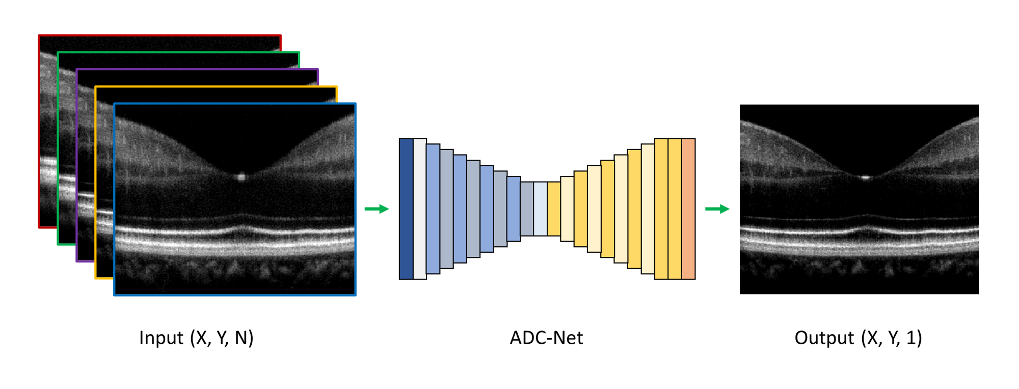 The input in ADCNet is an array of size (X,Y,N), where N is the number of partially dipersion comepensated OCT B-scans, the output of ADCNet is a single fully dipersion compensated OCT B-scan.
