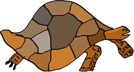 galapagos turtle