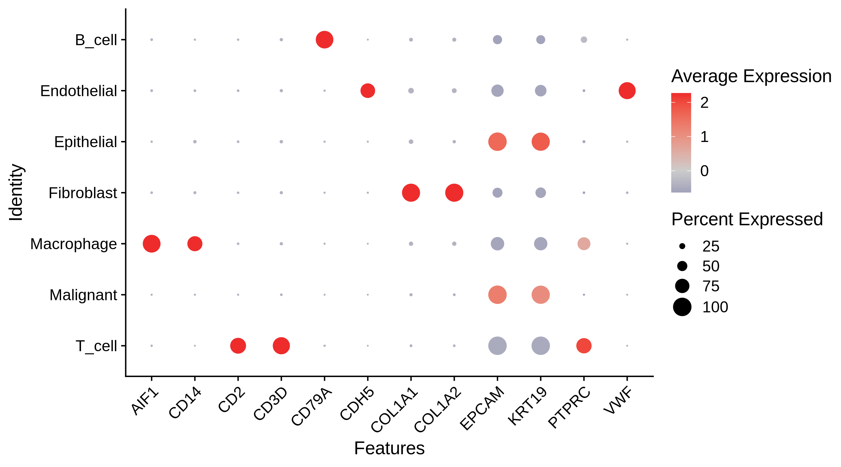 Cell Type Marker Dot plot