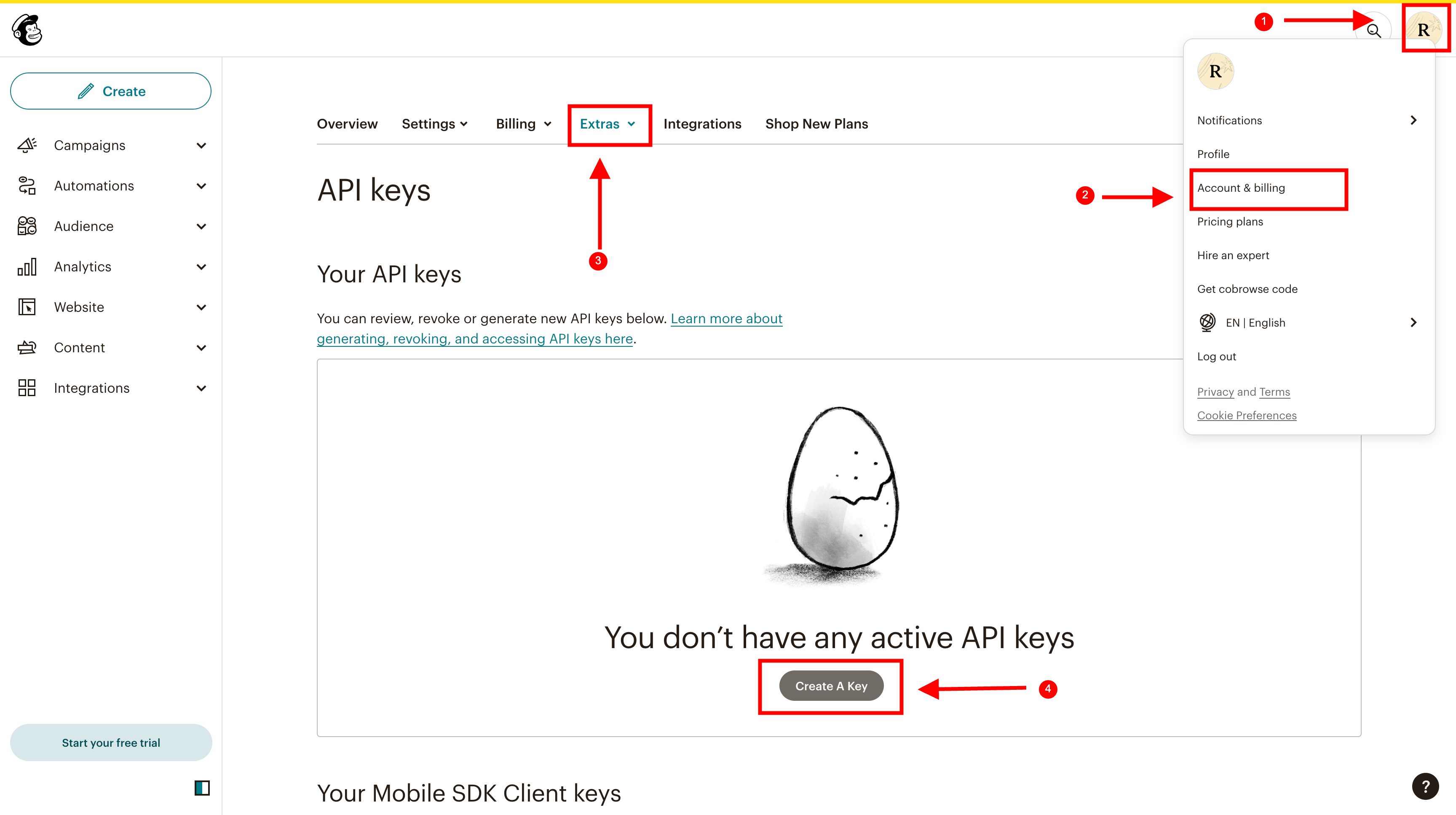 Mailchimp Obtain API Key