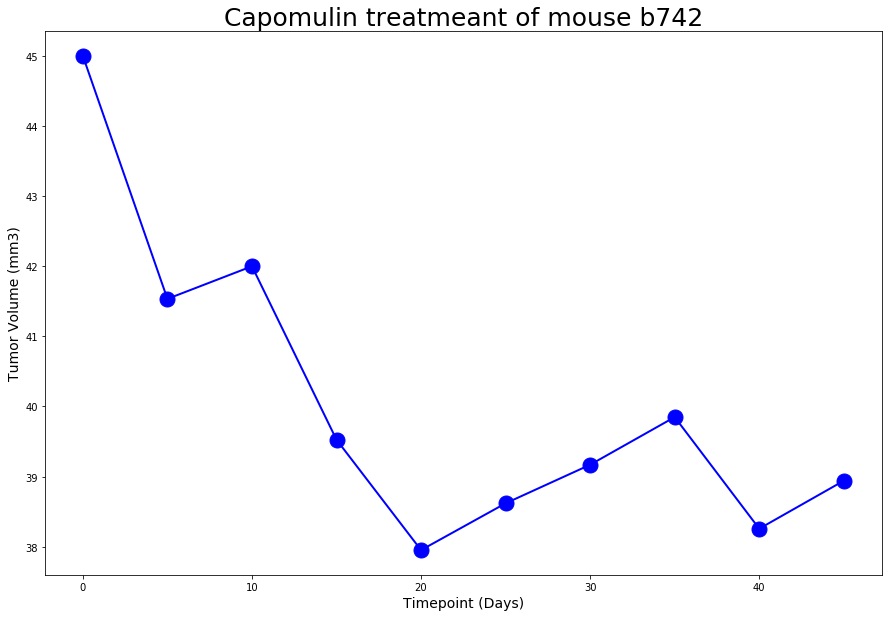 Line Plot