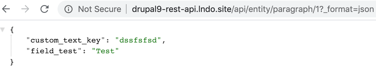 Paragraph Entity API JSON