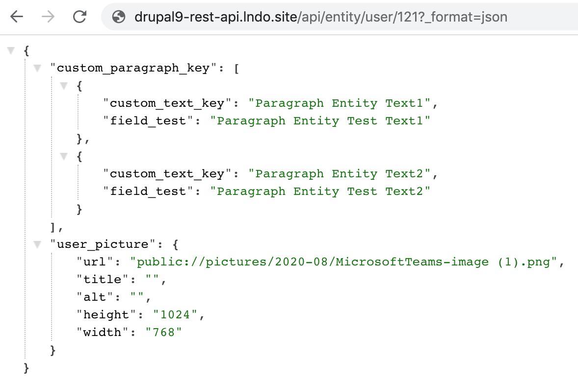 User Entity API JSON