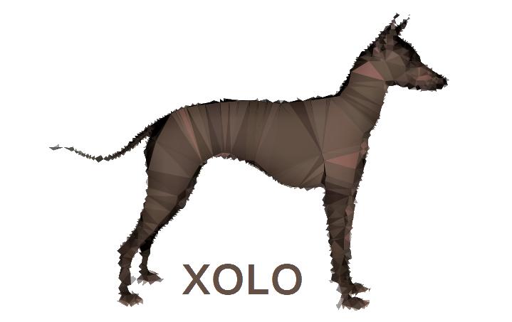 Xolo Logo