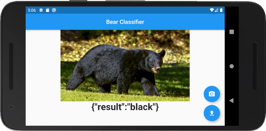 Bear classifier