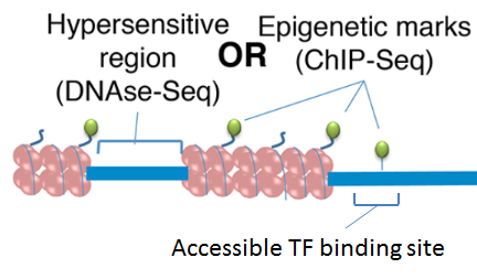 map TFs to peaks