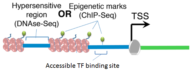 map genes to peaks