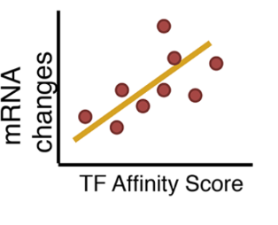 Regress motif strength on expression