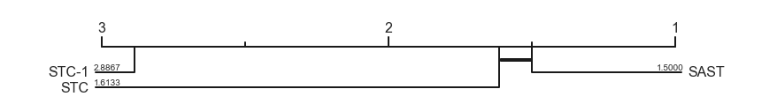 CDD SAST vs STC