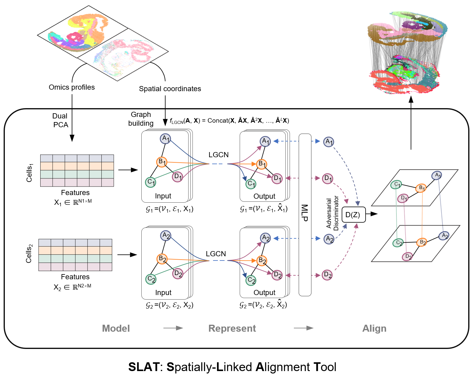 Model architecture