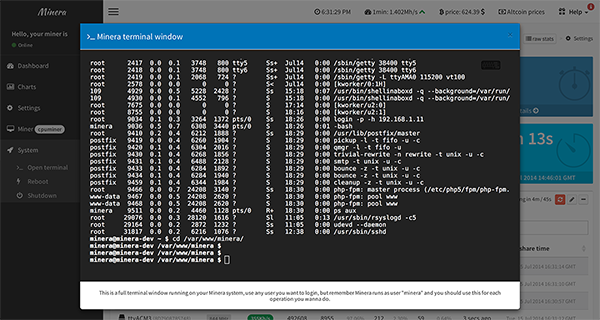 Web terminal