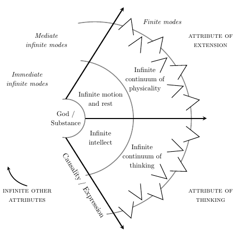 spinoza universe