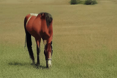 horse2_vid